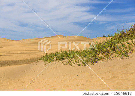 Maspalomas Duna - Desert in Canary island Gran Canaria Maspalomas Duna - Desert in Canary island Gran Canaria 15046612