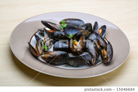 Boiled mussels Boiled mussels 15046684