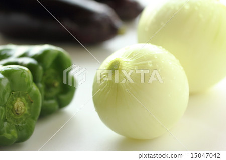 蔥 蔥 15047042