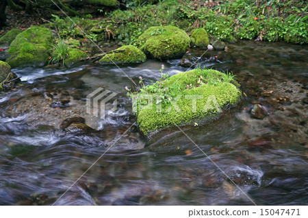 自然 自然 15047471