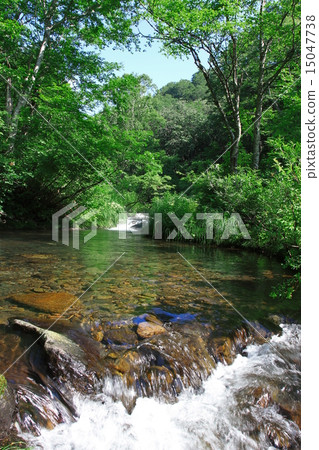 River flow River flow 15047738