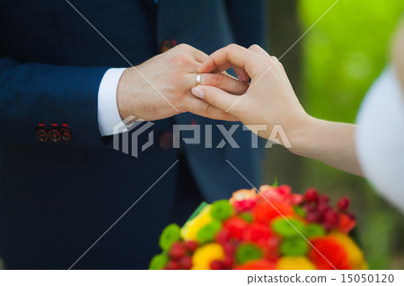 hands of bridal couple with wedding rings 15050120