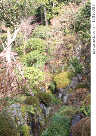 Ryoanji 15050388