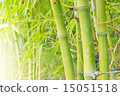 Bamboo forest background 15051518