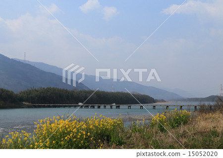 Tokushima ken Mima-shi Waki-cho, Yamano River "Waki-cho Diving Bridge" and Nanohana 15052020