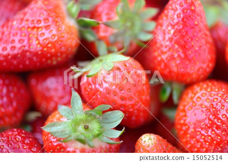 strawberries strawberries 15052514
