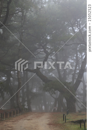 Kanonji市有明海灘覆蓋著濃霧Kanonpo公園“Kanonji寺廟Matsubara Kanonji市有明海灘覆蓋著濃霧Kanonpo公園“Kanonji寺廟Matsubara 15052523