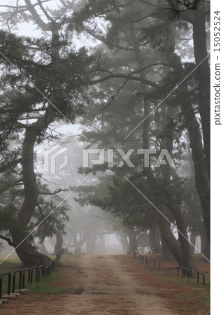 Kanonji市有明海灘覆蓋著濃霧Kanonpo公園“Kanonji寺廟Matsubara 15052524