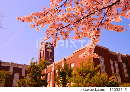 春天京都大學 15052545