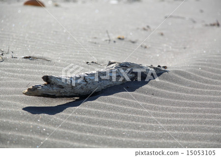 Wind and driftwood Wind and driftwood 15053105