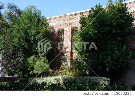 America Los Angeles UCLA 15053225