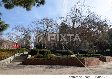 America Los Angeles UCLA 15053250