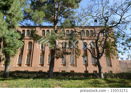 America Los Angeles UCLA 15053251