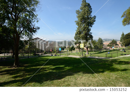 America Los Angeles UCLA 15053252