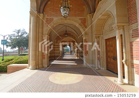 America Los Angeles UCLA 15053259