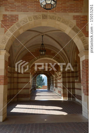 America Los Angeles UCLA 15053261