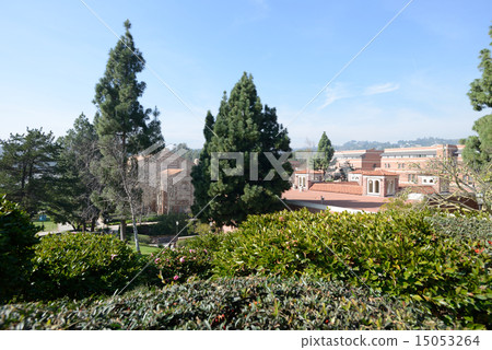 America Los Angeles UCLA 15053264