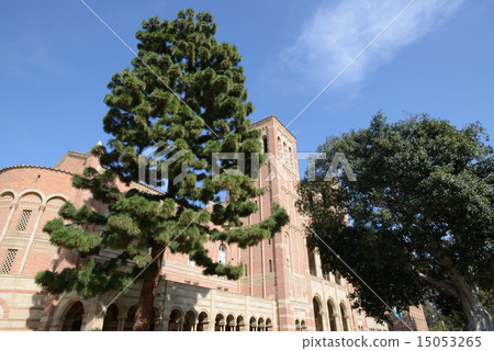 America Los Angeles UCLA 15053265