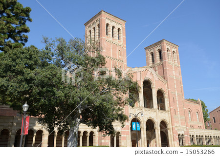 America Los Angeles UCLA 15053266