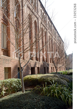 America Los Angeles UCLA America Los Angeles UCLA 15053268