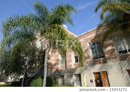 America Los Angeles UCLA America Los Angeles UCLA 15053272