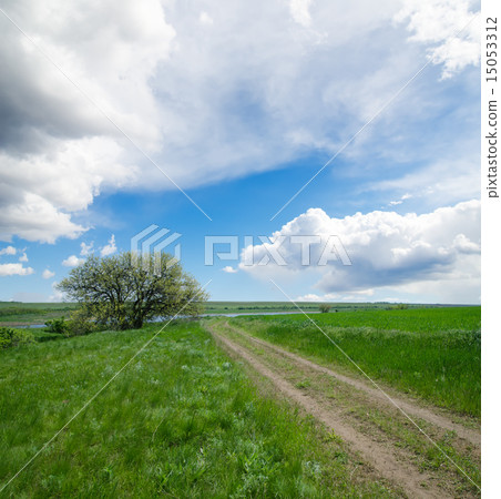 sky with tree 首頁 照片 天空 天氣 多雲 rural road under cloudy