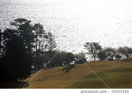 靜岡縣川奈酒店高爾夫球場 15053350