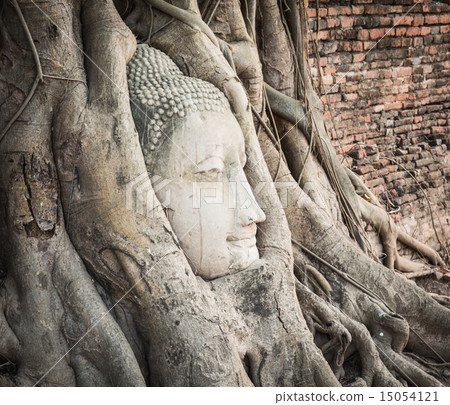 Buddha head in Wat Mahatat Buddha head in Wat Mahatat 15054121