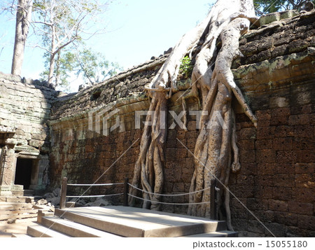 Taprohm Temple Taprohm Temple 15055180