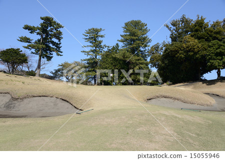 靜岡縣川奈酒店高爾夫球場 15055946