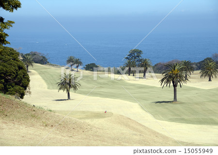 靜岡縣川奈酒店高爾夫球場 15055949