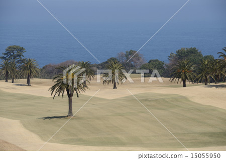 靜岡縣川奈酒店高爾夫球場 15055950