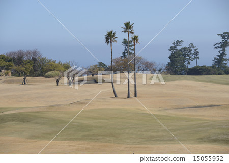 靜岡縣川奈酒店高爾夫球場 15055952