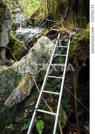 Pinnacles trek in gunung mulu national park 15056115
