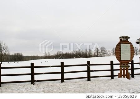 Tan top Tan top 15056629