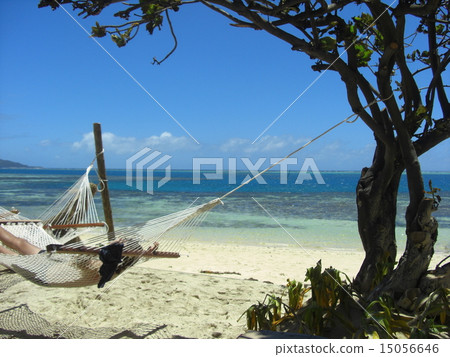 斐濟假日 15056646