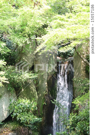 在濱松城公園的瀑布 15057186