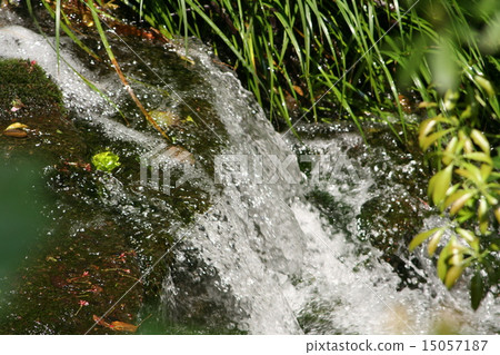 濱松城公園的Sagarre 濱松城公園的Sagarre 15057187