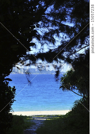 Furuzamami Beach path Furuzamami Beach path 15057238