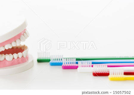 牙齒 牙齒 15057502