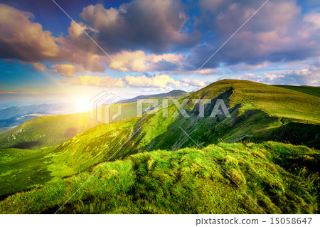 Summer landscape 15058647