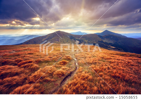 Summer landscape Summer landscape 15058655