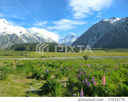 New Zealand Mount Cook 15058776