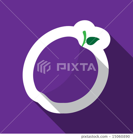 plum and long shadow 15060890