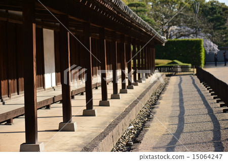 Pillars of hundreds of people 15064247