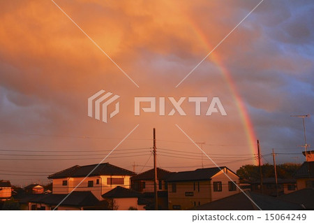 Rainbow  15064249
