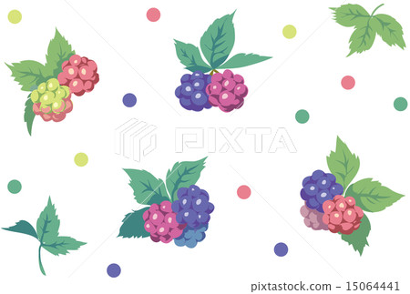 blueberry 15064441