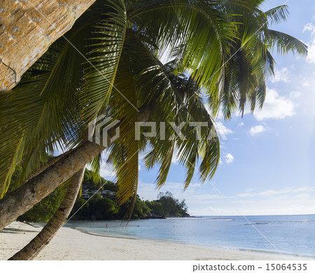 White coral beach sand and azure indian ocean. White coral beach sand and azure indian ocean. 15064535