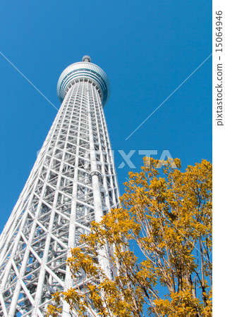 Looking at Tokyo Sky Tree Looking at Tokyo Sky Tree 15064946