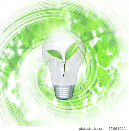 Wakaba in the bulb Wakaba in the bulb 15065021